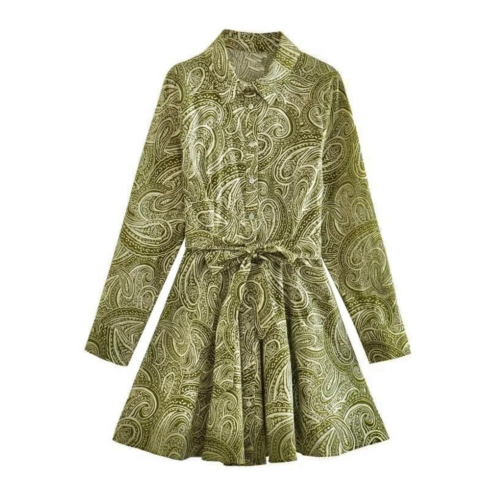 NWT Zara green & white paisley print belted mini dress - collard button front - Picture 4 of 7